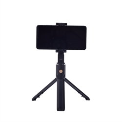 40430082-420200217-9244-1xb71l