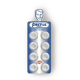 P45240 - eucalipto - dimensioni grandi