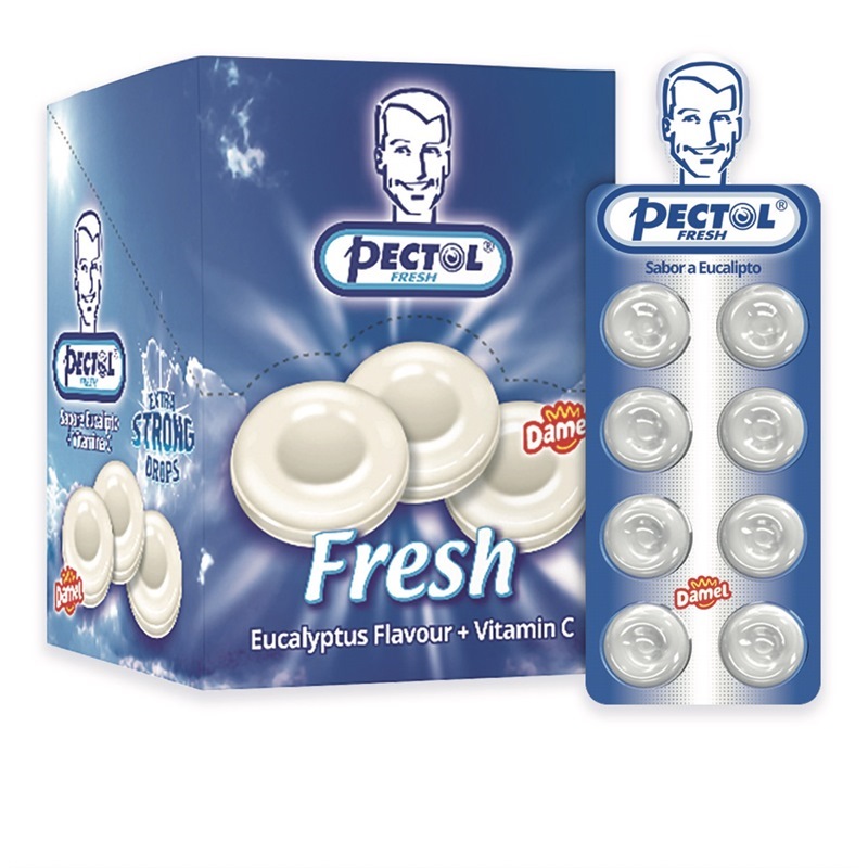 P45240 - eucalipto - dimensioni grandi